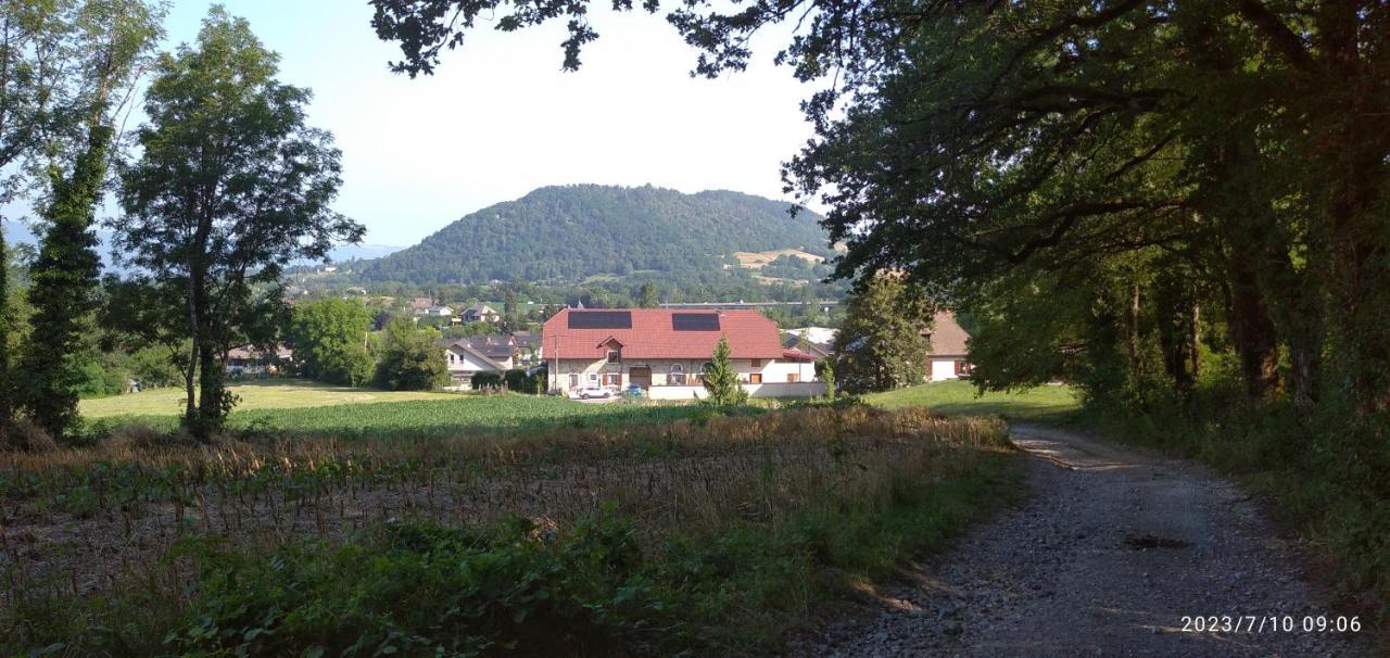 Gite De Cret Vial Alby-sur-Chéran Extérieur photo